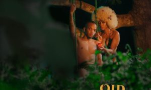 Tekno Old Romance Album