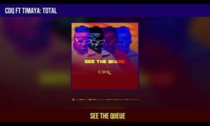 CDQ Total Timaya