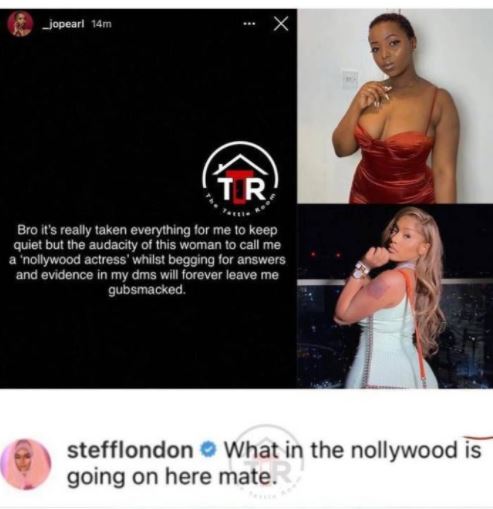 Burna Boy’s Alleged Side Chick, Jo Pearl Ridicules Stefflon Don For Entering Her DM 2