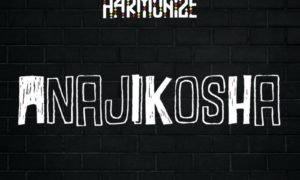 Harmonize Anajikosha