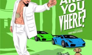 SkiiBii Are You Vhere