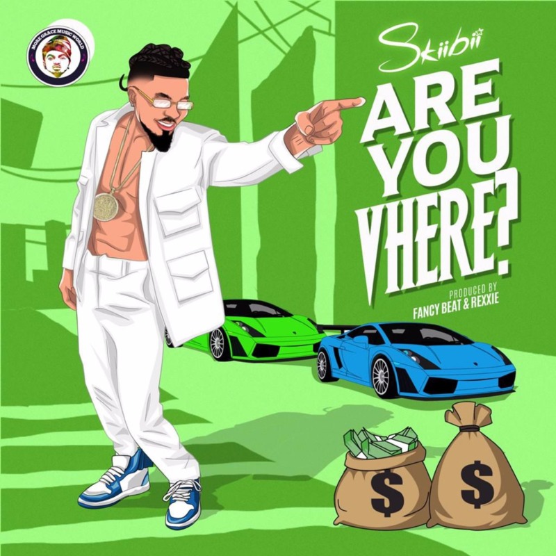 SkiiBii Are You Vhere