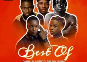 DJ Pilot Best of Omah lay X Fireboy X Joeboy X Rema