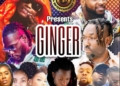 Ginger Mix