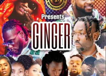Ginger Mix