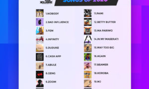 Top 20 Nigerian Songs Of 2020