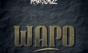 Harmonize Wapo