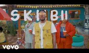 Skiibii Are You Vhere?
