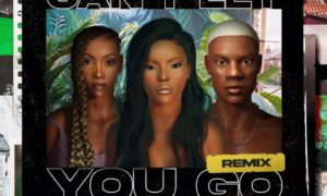 Stefflon Don Tiwa Savage Rema Can't Let You Go Remix Tiwa Savage Rema