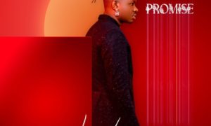 Lava Lava Promise EP
