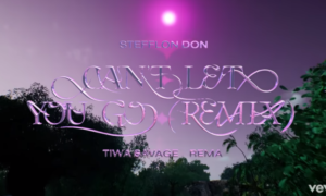 Stefflon Don Can't Let You Go Remix