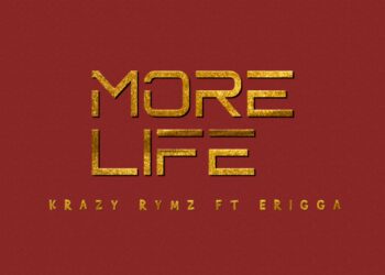 more life erigga img