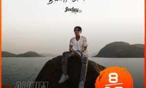 Joeboy Somewhere Between Beauty And Magic Album