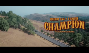 Fireboy DML D Smoke Champion