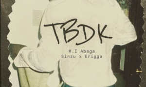 MI Abaga TBDK Sinzu Erigga