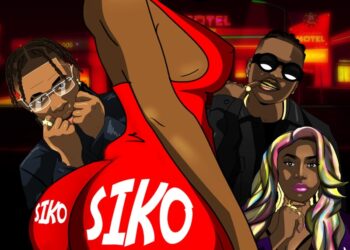 siko remix artwork