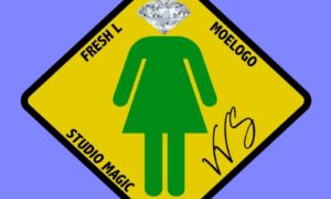 Studio Magic Fresh L VVS Moelogo