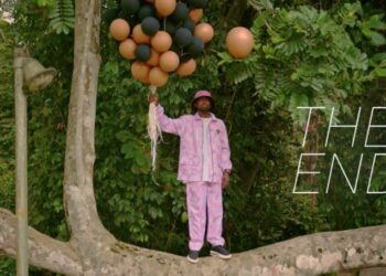 Erigga The End