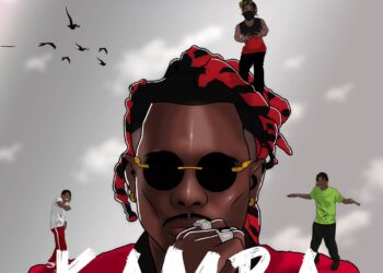Terry Apala Kamba