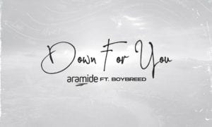 Aramide Down For You