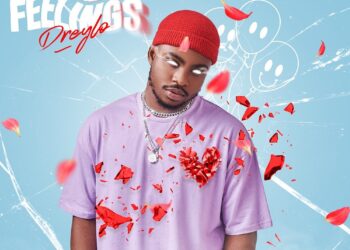 Dreylo Mixed Feelings ART