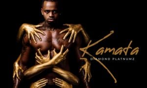 Diamond Platnumz Kamata Lyrics