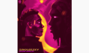 Zinoleesky Naira Marley Lyrics