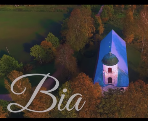 LYRICS: Phyno – BIA