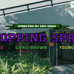 Davido ft. Chris Brown, Young Thug – “Shopping Spree LYRICS”