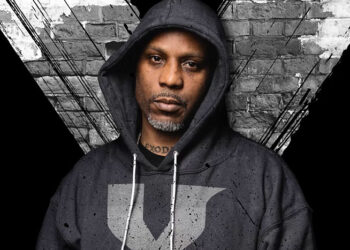 dmx x