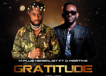 mplusj audvid2