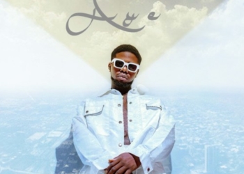 Aye artwork