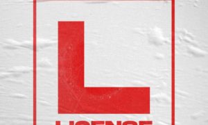 Vector License