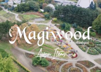 Magnito Magiwood Bovi