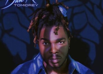 Tomidrey Blue Roses