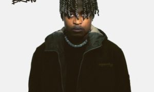 Cheque Bravo Album