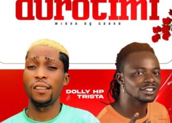 Dolly HP – Duro Timi art