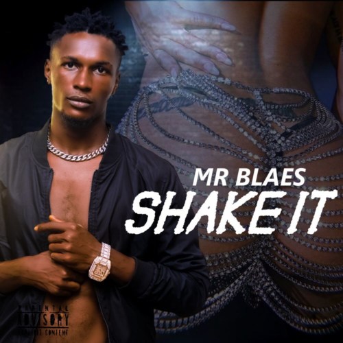 Mr Blaes – “Shake It”