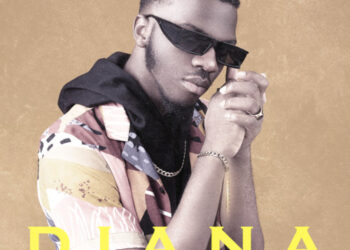 Navide Artwork