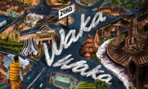 Zoro Waka Waka