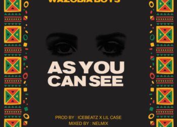 wazobia boyz