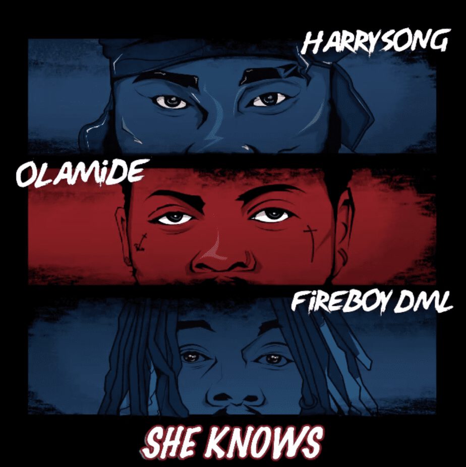 Harrysong - She Knows ft. Fireboy DML x Olamide 1 Harrysong