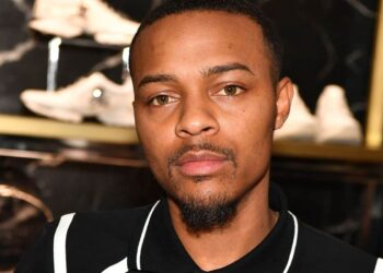 bow wow.0