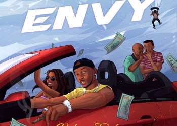 rsz envy artwork