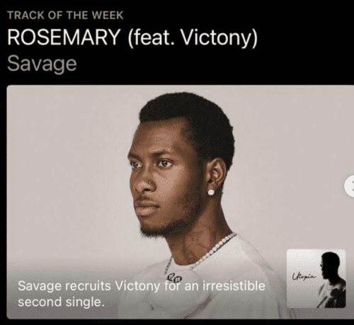Savage x Victony - Rosemary 1 Savage