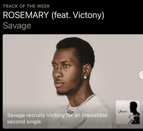 Savage Victony Rosemary