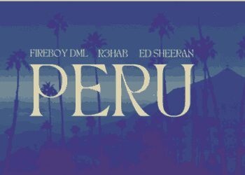 Fireboy Peru R3hab Remix