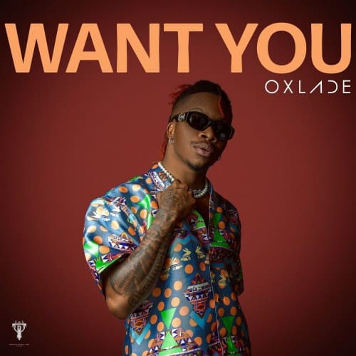 Oxlade – Want You (Song)