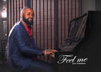 DJ E-Kenny - Feel Me 2 FEEL ME art