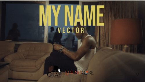 Vector